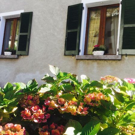 Charlotte Casa Vacanze Villa di Chiavenna ภายนอก รูปภาพ